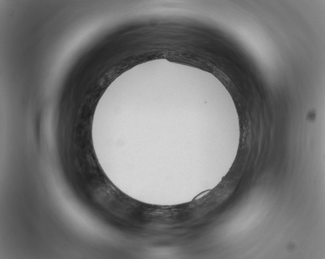 X0000116880383201001191749