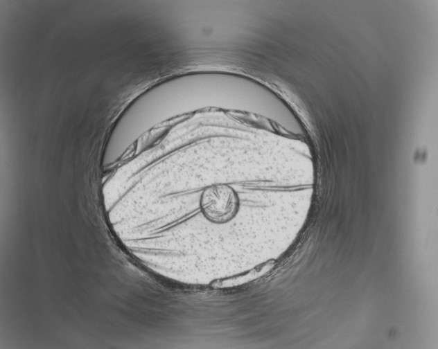 X0000116880385201001191749