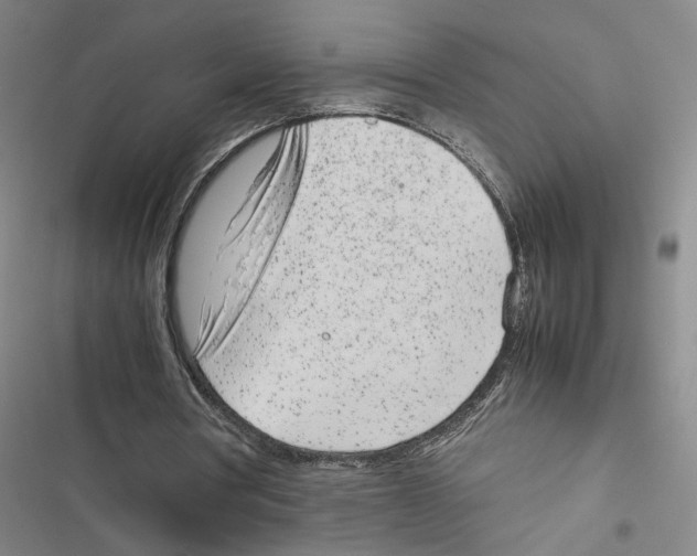 X0000116880386201001191749