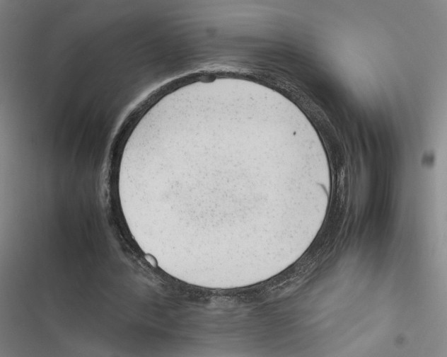 X0000116880388201001191749