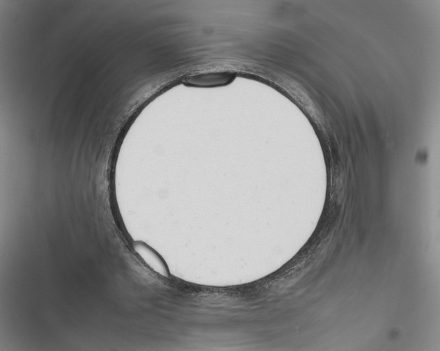 X0000116880389201001191748