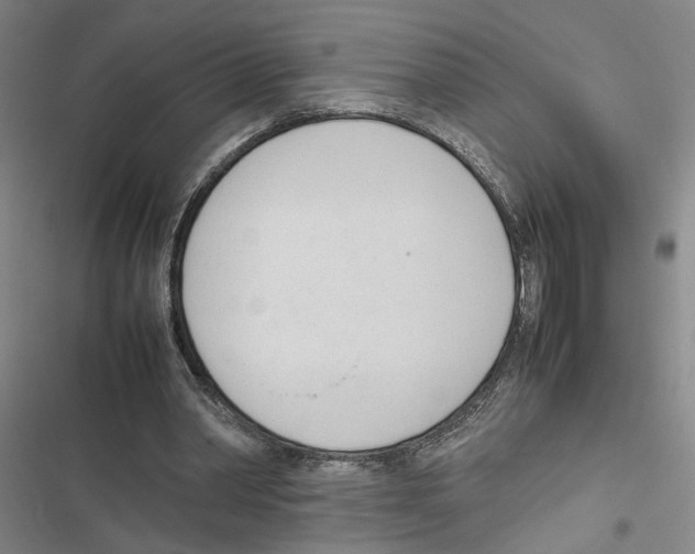 X0000116880390201001191748