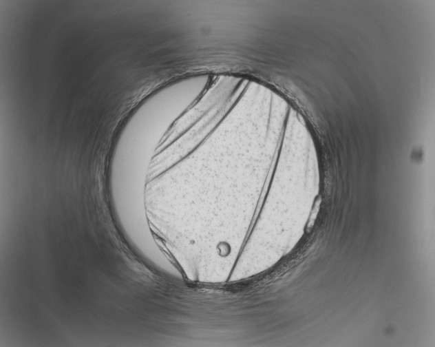 X0000116880393201001191748