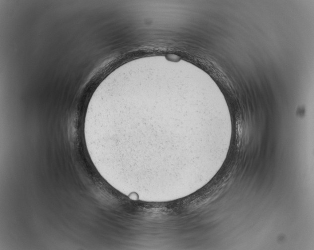 X0000116880396201001191748