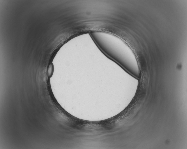 X0000116880397201001191748