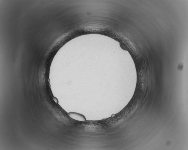 X0000116880400201001191748