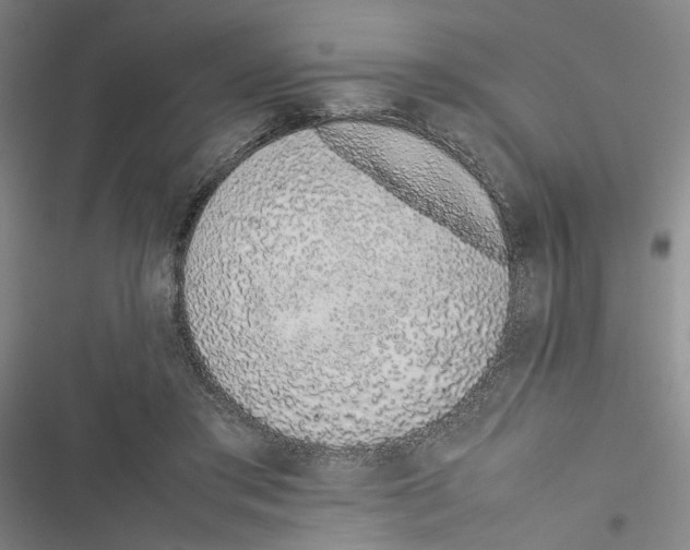 X0000116880405201001191748