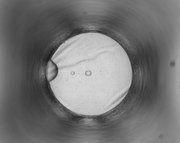 X0000116880406201001191748