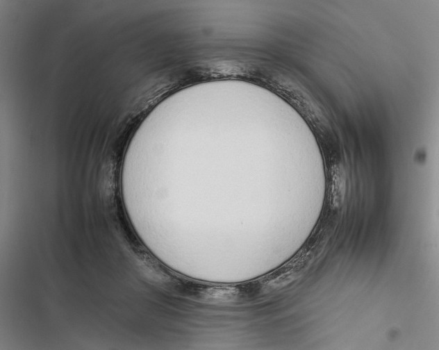 X0000116880410201001191748