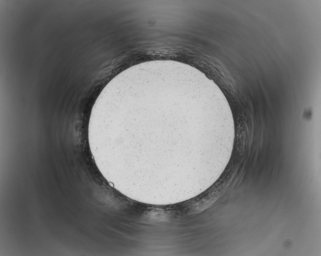 X0000116880416201001191748
