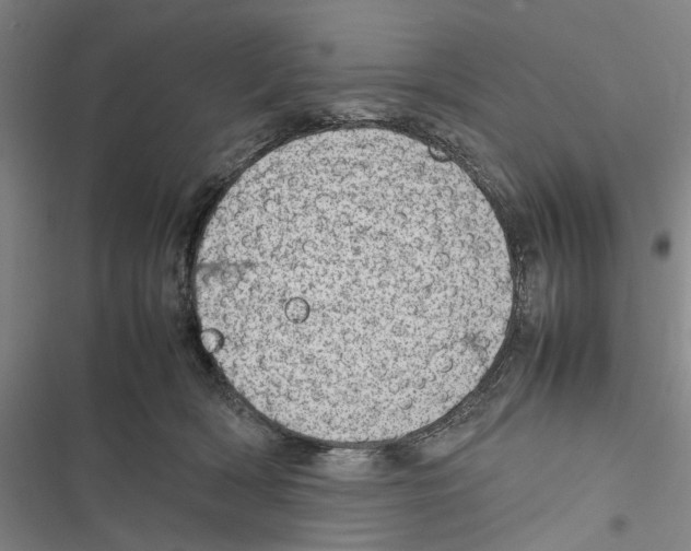 X0000116880418201001191748