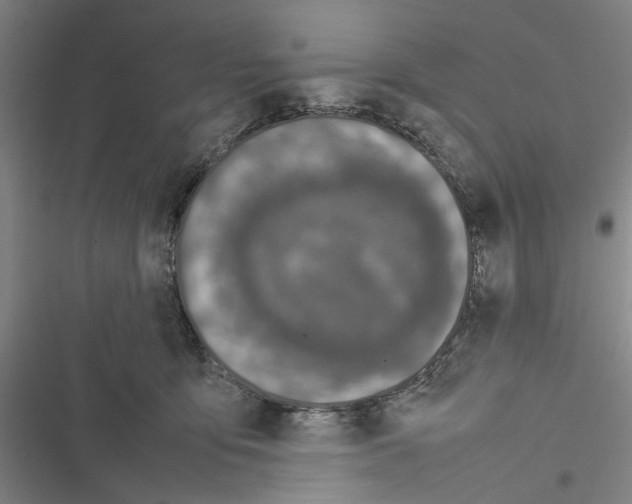 X0000116880419201001191748