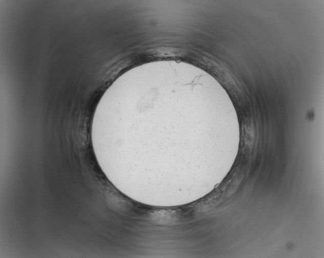 X0000116880422201001191748