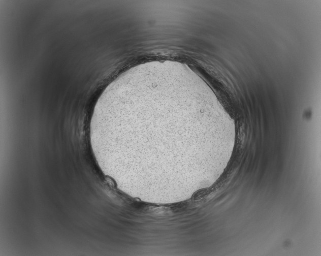 X0000116880424201001191748