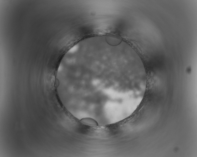 X0000116880427201001191748