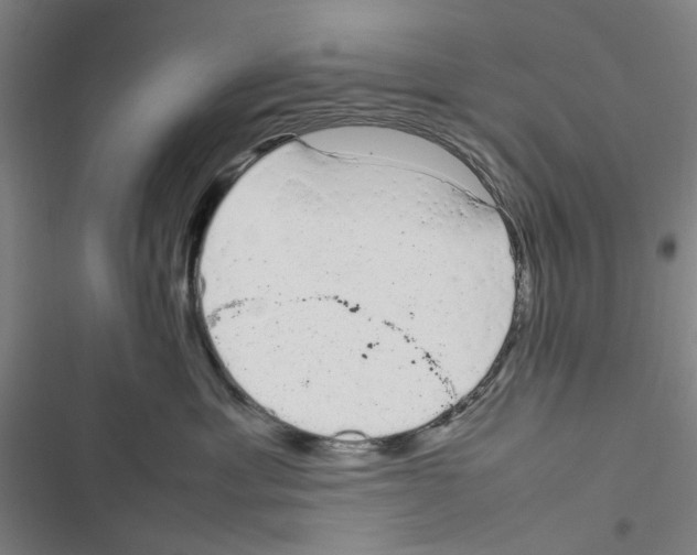 X0000116880429201001191748