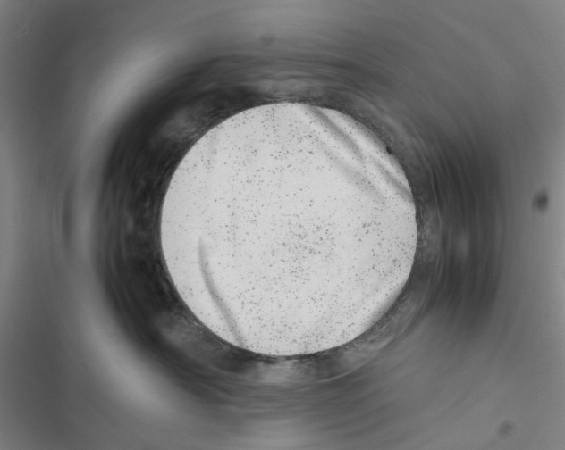 X0000116880430201001191748