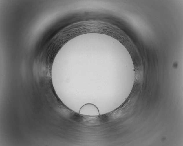 X0000116880431201001191748