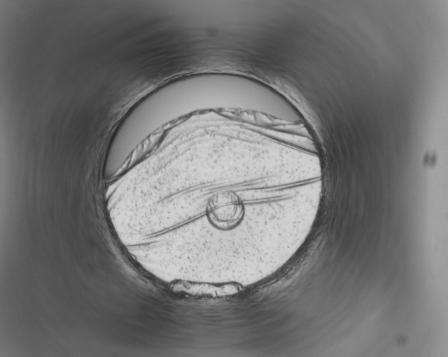 X0000116880433201001191747