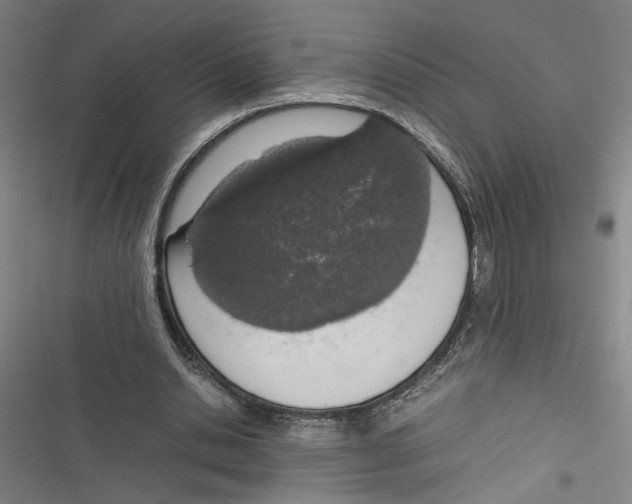 X0000116880438201001191747