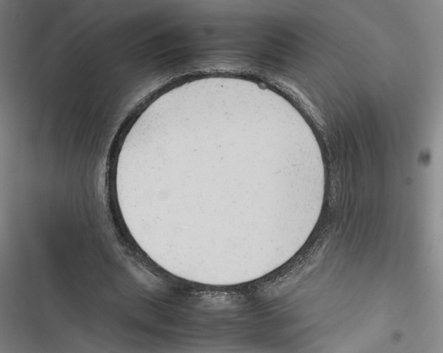 X0000116880439201001191747