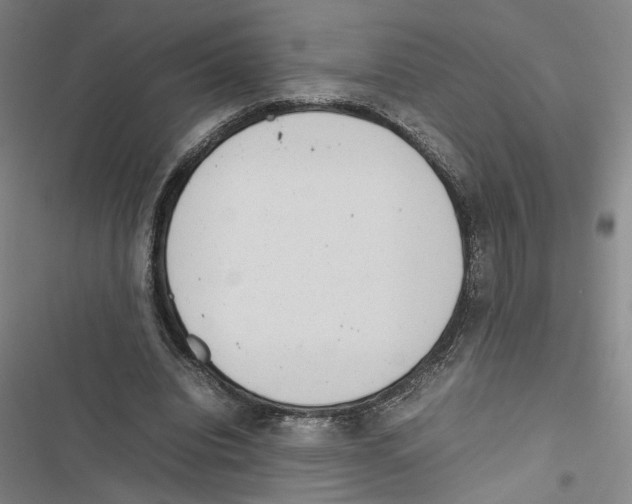 X0000116880440201001191747