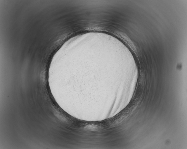 X0000116880441201001191747