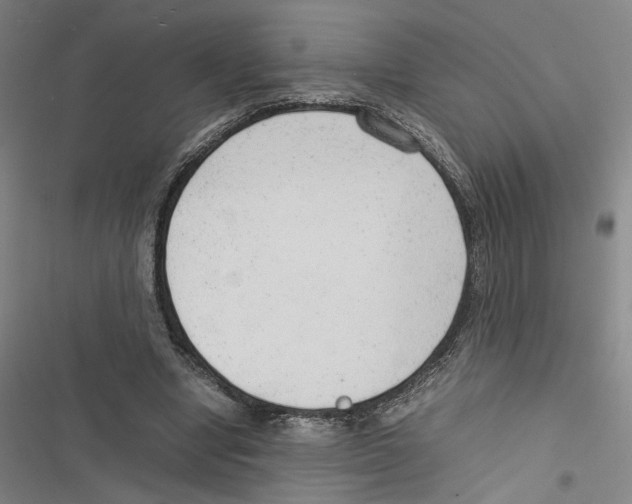 X0000116880442201001191747