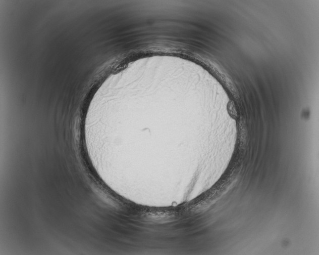 X0000116880445201001191747