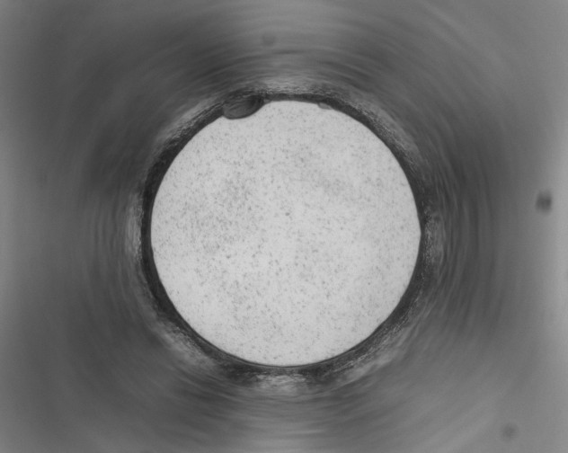 X0000116880446201001191747