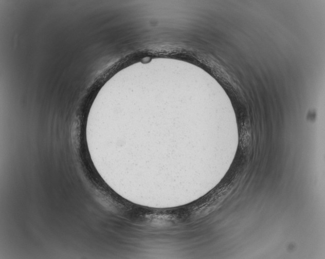 X0000116880448201001191747