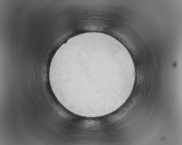 X0000116880453201001191748