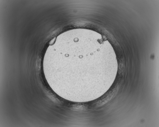 X0000116880454201001191748