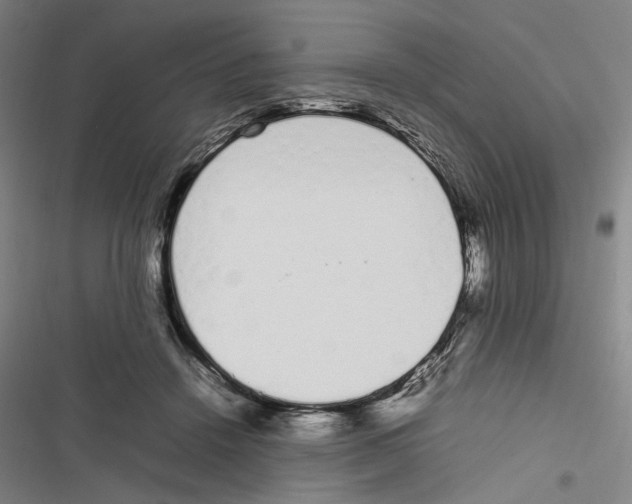 X0000116880456201001191748