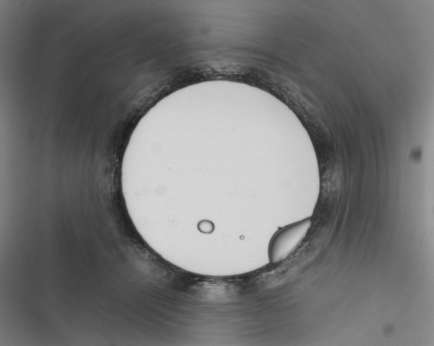 X0000116880464201001191748