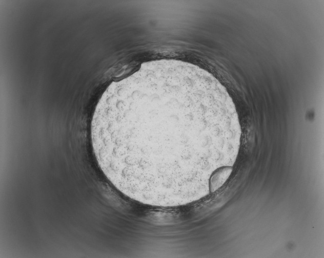 X0000116880466201001191748