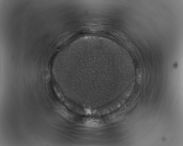 X0000116880471201001191748