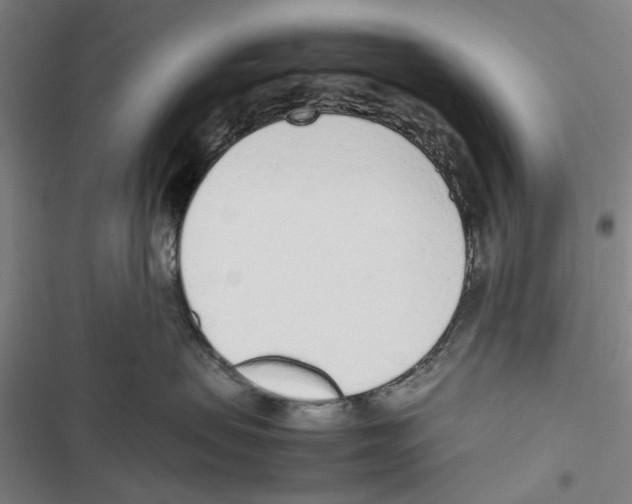 X0000116880479201001191748