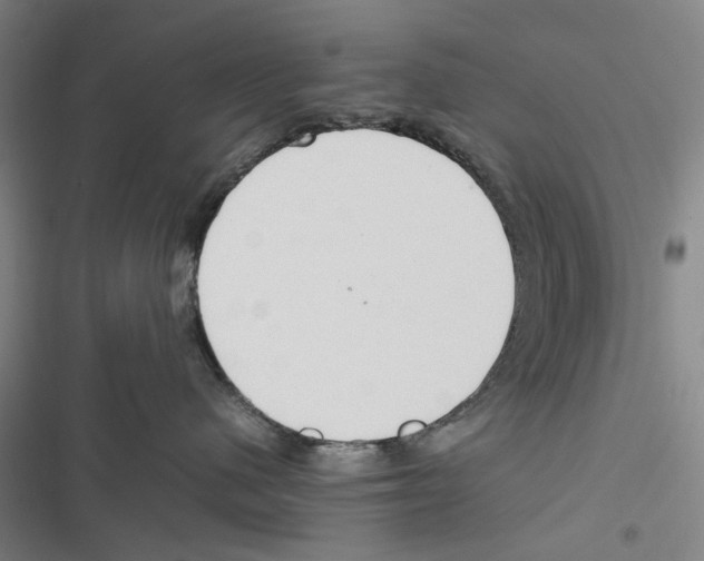 X0000116880480201001191748