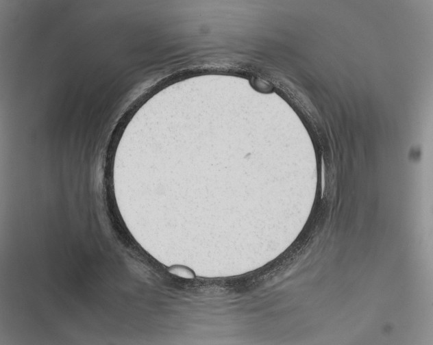 X0000116880483201001191747