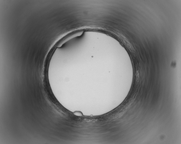 X0000116880484201001191747