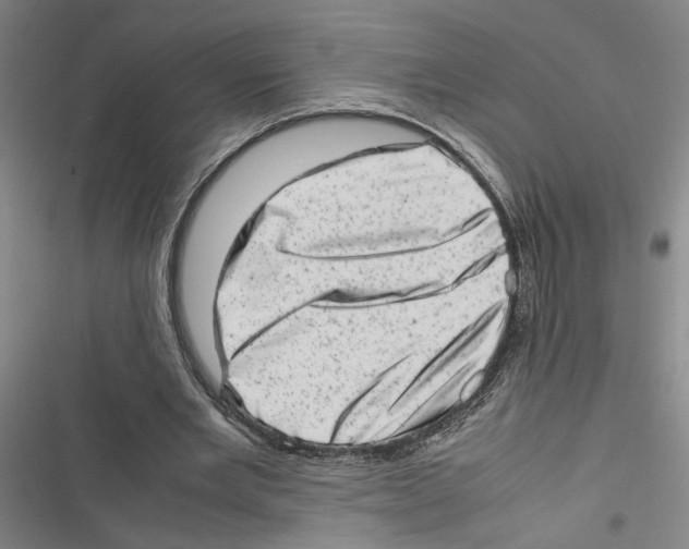 X0000116880485201001191747