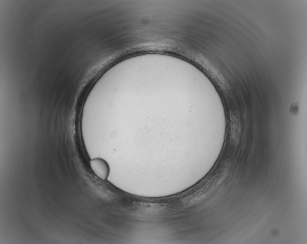 X0000116880486201001191747