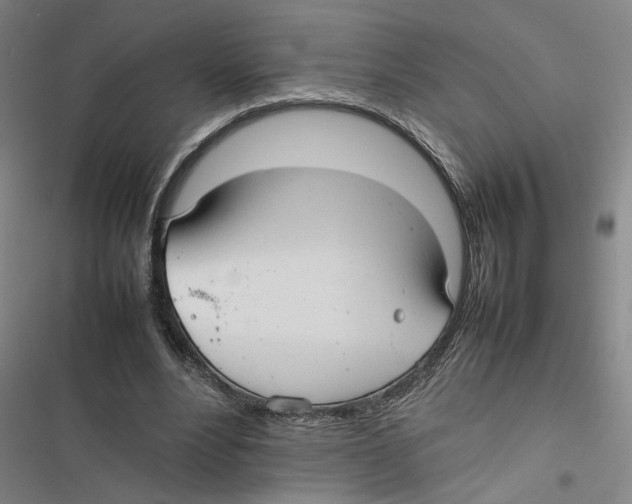 X0000116880488201001191747