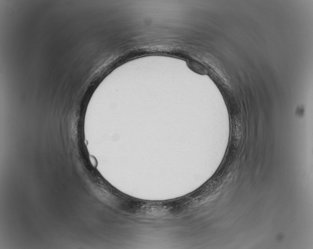 X0000116880491201001191747