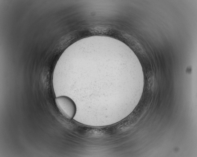 X0000116880498201001191747