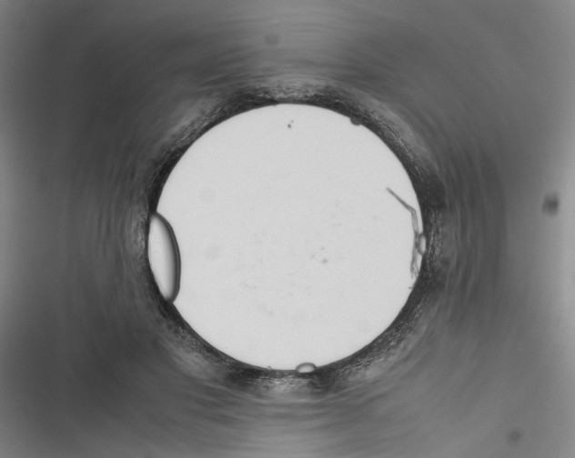 X0000116880501201001191747