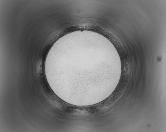 X0000116880502201001191747