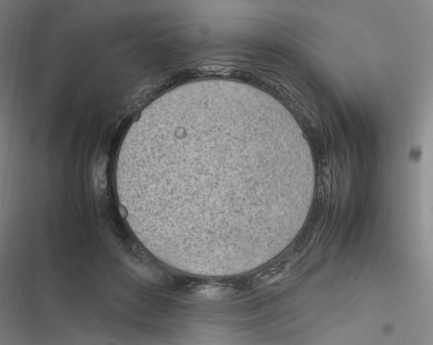 X0000116880504201001191747