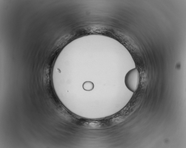 X0000116880506201001191747
